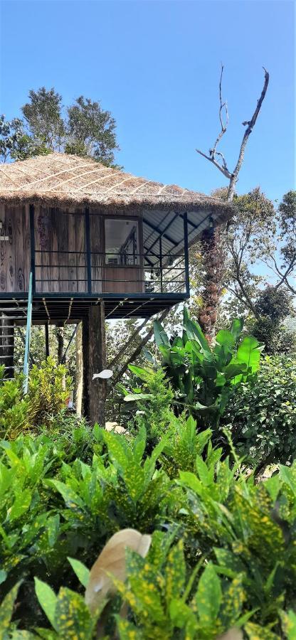 Апартаменты Noah'S Nest Tree House Теккади Экстерьер фото