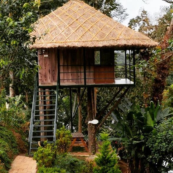 Апартаменты Noah'S Nest Tree House Теккади Экстерьер фото