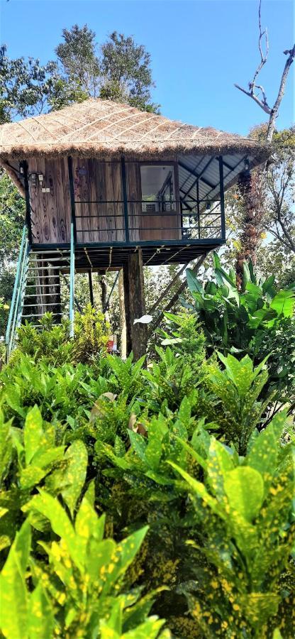 Апартаменты Noah'S Nest Tree House Теккади Экстерьер фото
